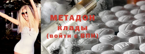 сатива Новозыбков