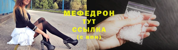 сатива Новозыбков