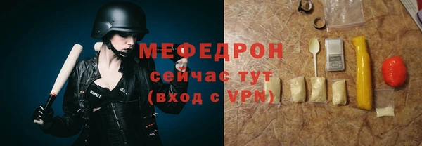 сатива Новозыбков