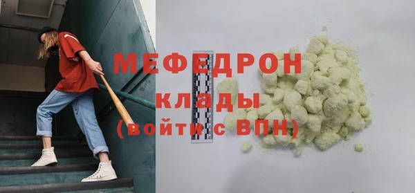 сатива Новозыбков