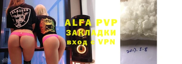 сатива Новозыбков