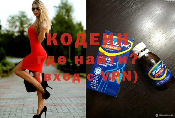 сатива Новозыбков