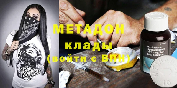 сатива Новозыбков