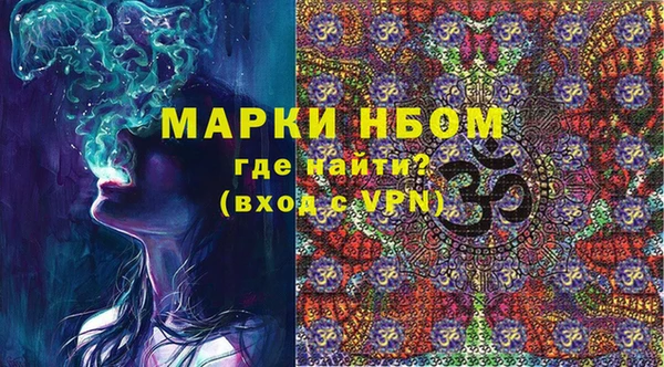 сатива Новозыбков