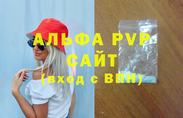 сатива Новозыбков
