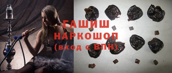 сатива Новозыбков
