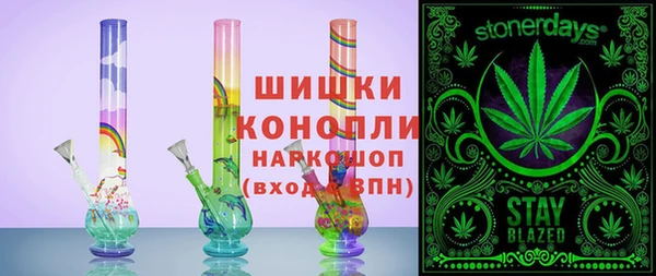 сатива Новозыбков